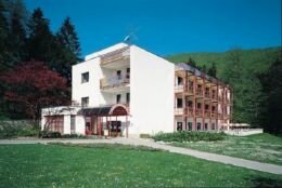 Hotel **  - MA�A FATRA  - www.ptKRYWAN.pl